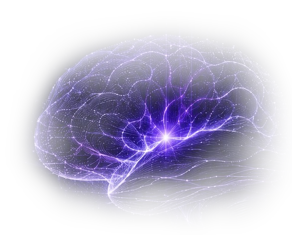 PhasedCortex Brain